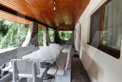 Vila de poveste din Valea Avrigului de vanzare - 16