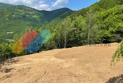 Teren 2200 mp, intravilan, zona Somesul Rece - 5