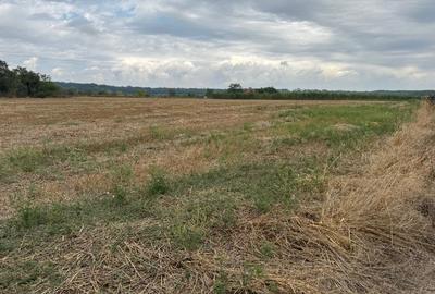 Vanzare Teren curs constructii Peris, judet Ilfov - 1