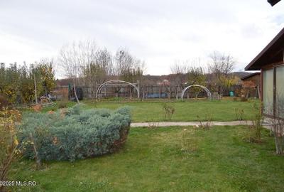 Glambocu - Bascov, Casa constructie 2008, teren 1066 mp! - 30