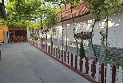 Casa 3 camere in Nadlac renovata recent - 15
