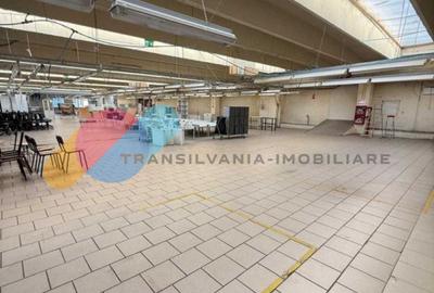 Spațiu industrial / birouri / hala - 3.420 mp – Bd. Muncii, Cluj - 4