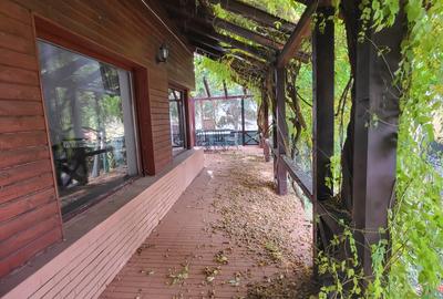 Vila lac snagov in cea mai buna portiune a lacului, ponton, garaj barca, piscina - 25