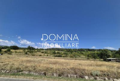 Vânzare teren 13.000 mp - Runcu-Suseni - oportunitate turistică - 4