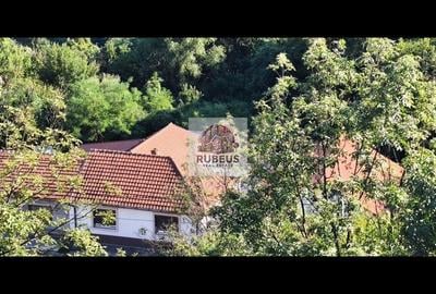 Refugiul la marginea pădurii in Orșova, pe malul Dunării - 1