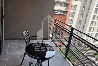 Apartament cu 2 camere, judetul Timis, Aradului, Prima Inchiriere - 9
