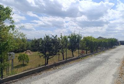 Proprietar: Teren de vânzare cu Panorama si utilități complete - 5