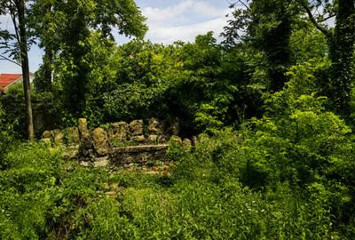 Vila spectaculoasa lacul Snagov – 4.000 mp de intimitate/potential exclusivist - 14