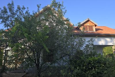 Casă individuală P+E + 2 anexe, teren 3.052 mp – Dârvări, jud. Călărași - 3