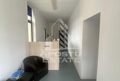 Casa în Dumbrăvița cu teren de 3039 mp și Front Stradal de 40 ml - 7