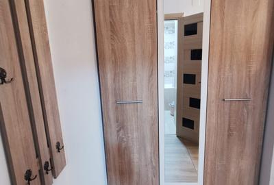 Dristor, garsoniera, 2 minute metrou, BOILER, etaj 2, bloc reabilitat - 10