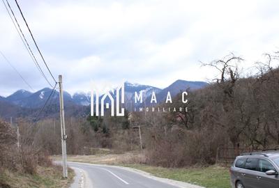 Pământ I Fereastră către Eternitate în  Transilvania - 9