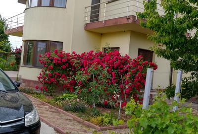 Vila P+E, 18 Km de Bucuresti-Adunatii Copaceni - 1