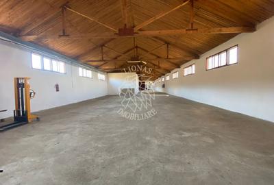 Spatiu Industrial/ Hala/ Depozit- 1200 mp- Peste Podul Budacului - 1