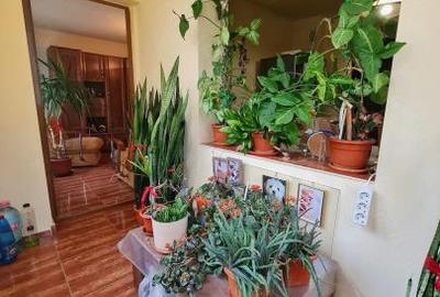 🙋 Casa de CULTURA 🔸 3 Camere  Decomande 75m² Centrala Mobilat Utilat Izolat - 7