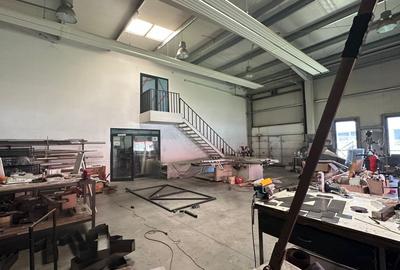Hala depozitare /productie,Timisoara, NV - 5