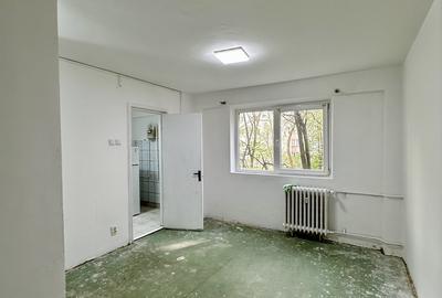 Lacul Tei, langa Facultatea de Constructii - 4