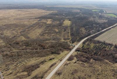 Teren extravilan 95.23 ha lângă Caransebeș - 9