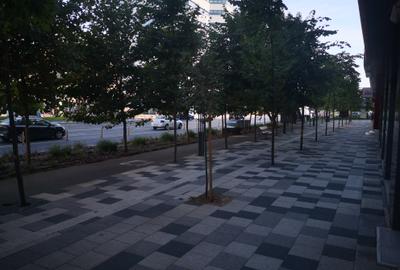 GARSONIERA RENOVATA/UTILATA/MOBILATA - 39