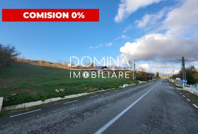 Teren Construcții intravilan de 11939 mp, în Bălănești