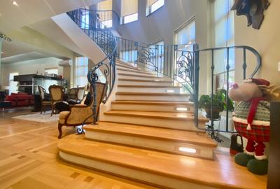 Vila de lux lângă Curtea Domnească – investiție premium Târgoviște, teren 1.700 - 16