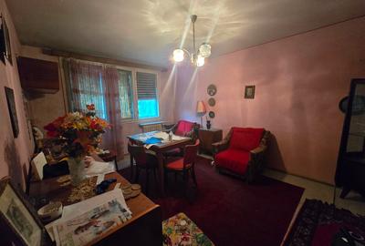 Apartament 3 camere renovabil în Aleea Barajul Bistriței - locație de vis! - 14