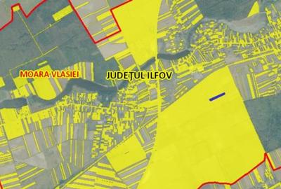 Teren de vanzare in Moara Vlasiei - 7170 mp - aproape de Padurea Biglaru - 6