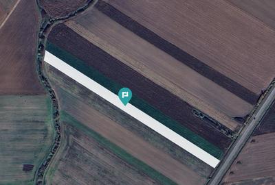 Teren intravilan la stradă principală Remetea Mare - 4