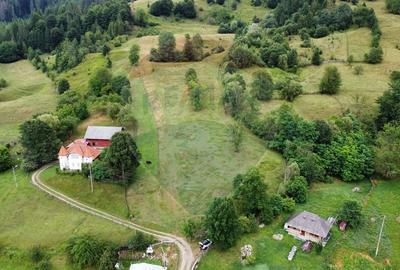 Teren 6,865mp Voroneț / Gura Humorului / Bucovina - 6
