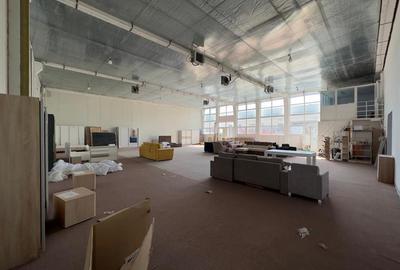Showroom 457mp langa Carrefour, Kaufland, magazine tehnice - 9