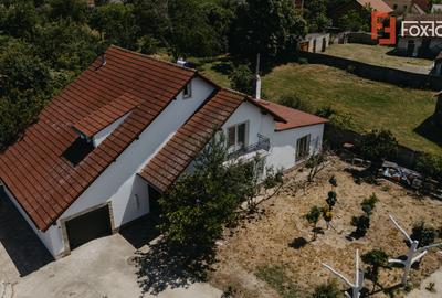 Casa individuala cu 8 camere si lac cu pesti, teren 4424 mp - Jebel - 2