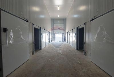 Depozit frigorific de 216 mp cu 4 celule, Șcheia, Suceava - 21