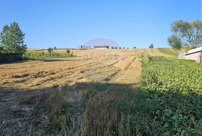 Teren intravilan, 7500 mp in Moara Carp / Strada Eternitatii-Suceava - 13