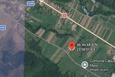 Teren de vanzare in Capusu Mare , ideal pentru investitie. - 1