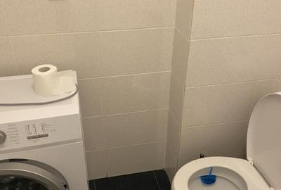 Inchiriere Garsoniera Decomandata Militari Residence - 11