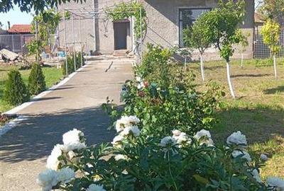 VILA P+1 NOUA 236mp utili Teren= 1000 mp, la 13 km de Braila - 1