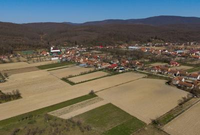 Loc de casă în Odvoș - Conop 3000mp - 15