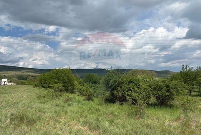 Teren de vanzare 13783mp, front la DN, parcela unica zona de vest - 8