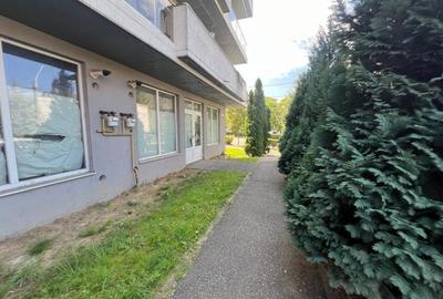 Spatiu comercial V.Alecsandri ,120 mp ,ideal activitati comerciale /cabinete - 1