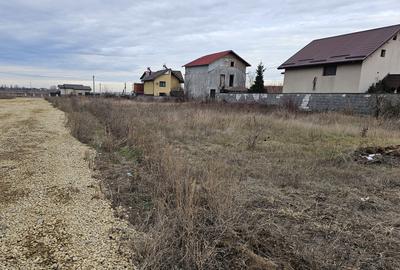 350mp TEREN INTRAVILAN, DRAGOMIREȘTI-VALE, PANSELELOR 16F, CERTIFICAT URBANISM - 3