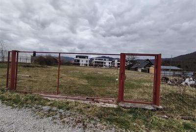 Teren intravilan in Sovata (str. Turturelelor) - 3