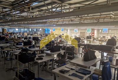 Hala industriala de vanzare in loc. Sfantul Gheorghe, jud. Covasna - 6