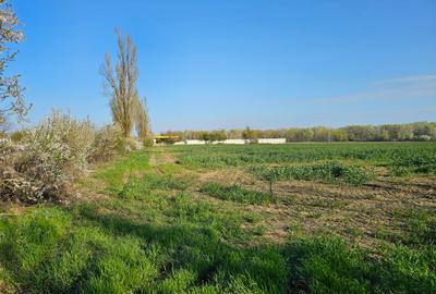 10.100mp TEREN CONSTRUCȚII INTRAVILAN POTIGRAFU, DESCHIDERE 31m direct la DN1 - 3