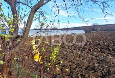 Teren intravilan 1687 mp pentru cabana zona de gradini Cisnadie - 6