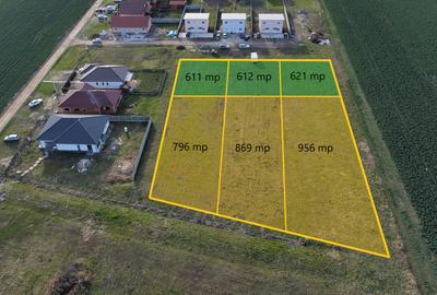55 E/mp - Sanandrei - teren cu destinatie:rezidentiala / comerciala - 3