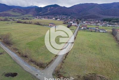 Teren intravilan în Tocile - 39 euro/mp - 4354 m² - 2 fronturi - 11