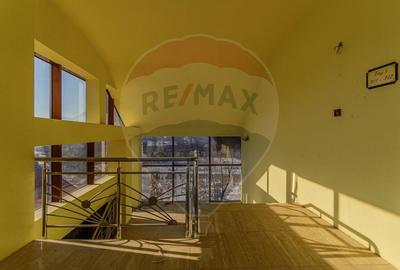 Activ Hotelier SubEvaluat | 18.000 mp construiti | 3 ha teren | BRASOV - 46