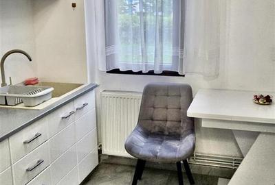Chirie 2 Camere Modern Linistit, Bulevard Garii - Victoriei - 11
