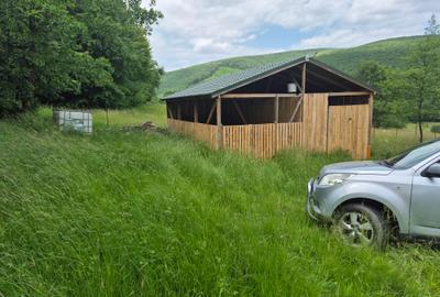 Casute vacanta cu teren 5600m2 - 7