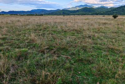 Teren rezidential RASNOV - Glajerie - 4